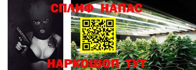 spice Кингисепп