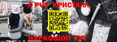 spice Кингисепп