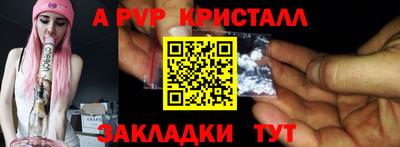 spice Кингисепп