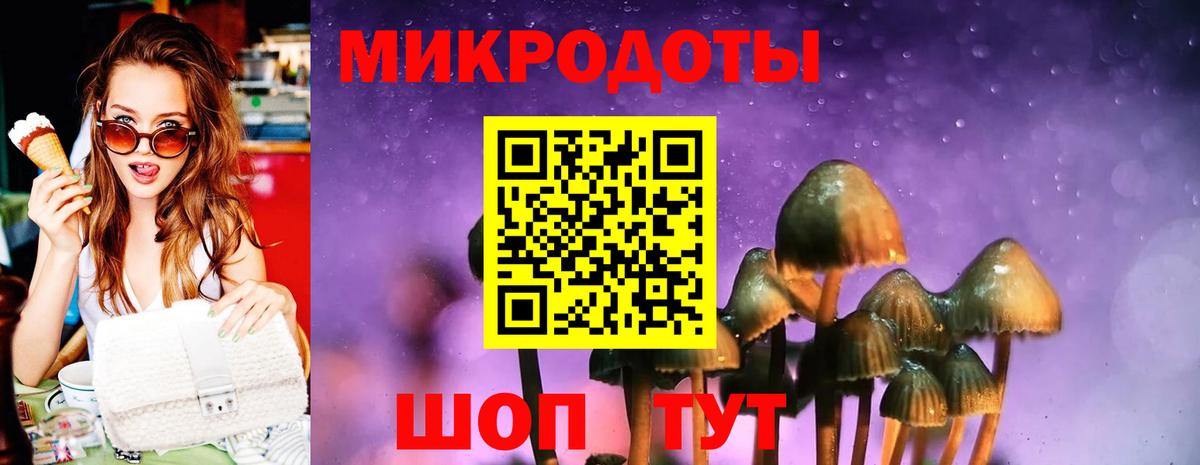 Псилоцибиновые грибы GOLDEN TEACHER Чебоксары